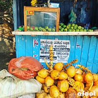 Sri Lanka