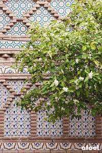 rejse Barcelona