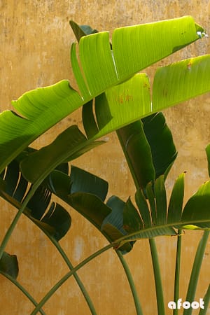 HoiAn03