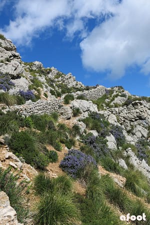 Mallorca10