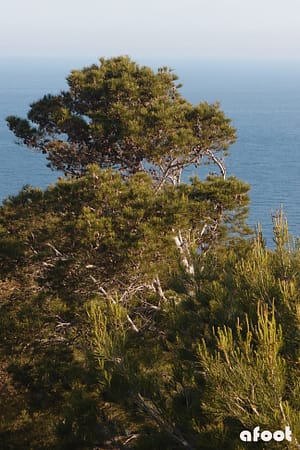 Mallorca