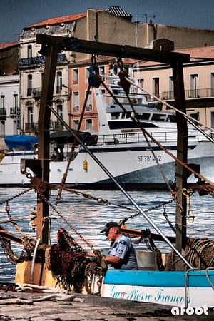 sete1