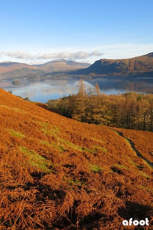 CatBells1