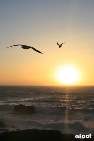 Essaouira5