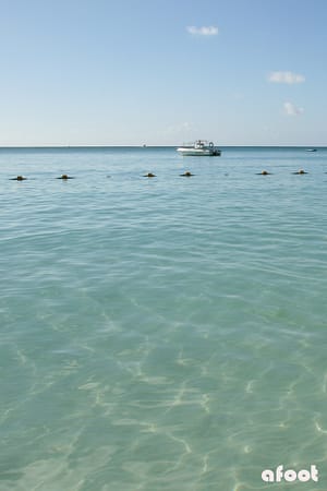 strand4