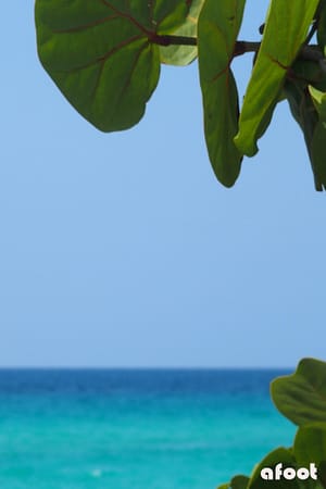 strand8