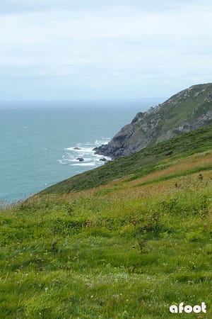 Devon
