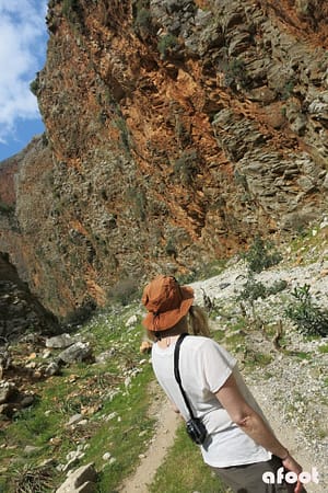Aradena