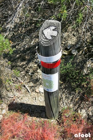 gr249