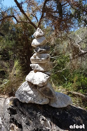 gr249