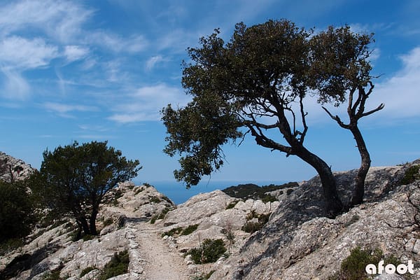 Mallorca