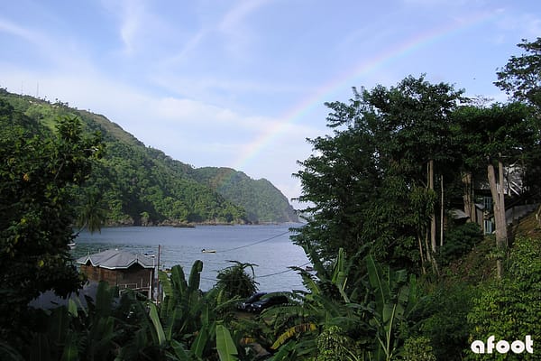 tobago1