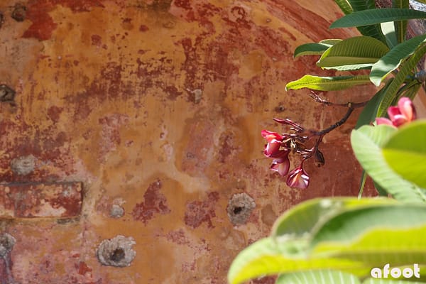 Citadellet4