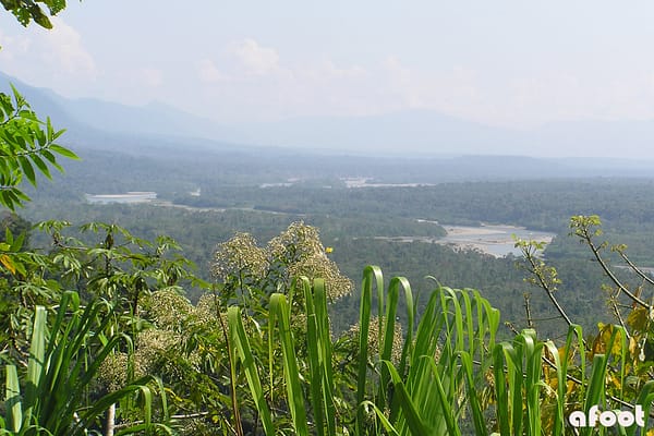 Amazonas