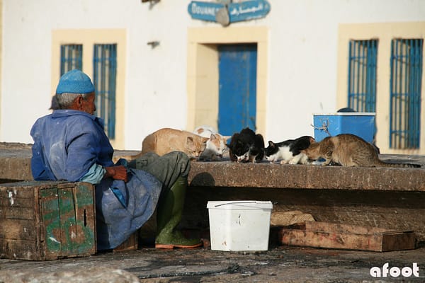 Essaouira8