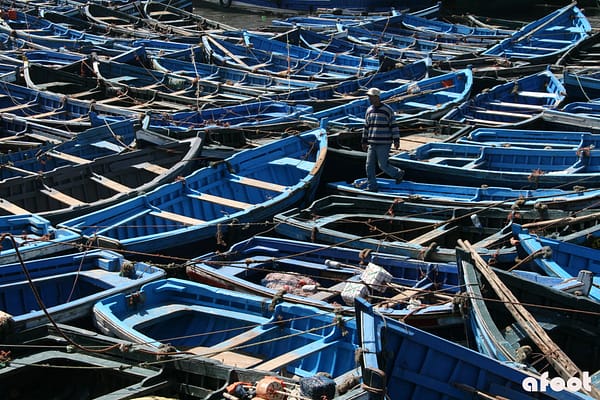 Essaouira9