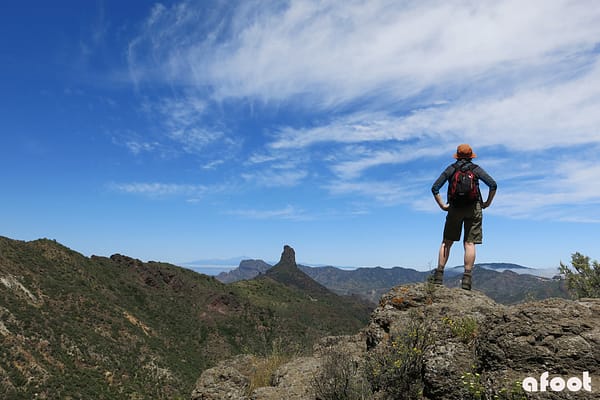 året 2016 Gran Canaria