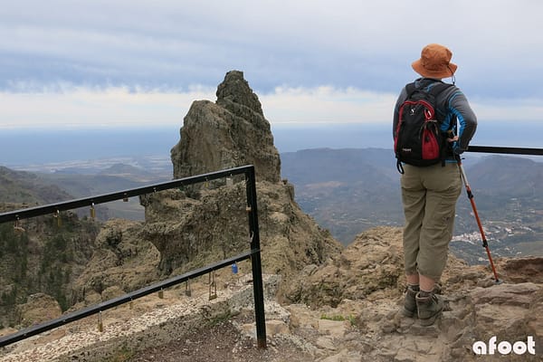Pico de las Nieves