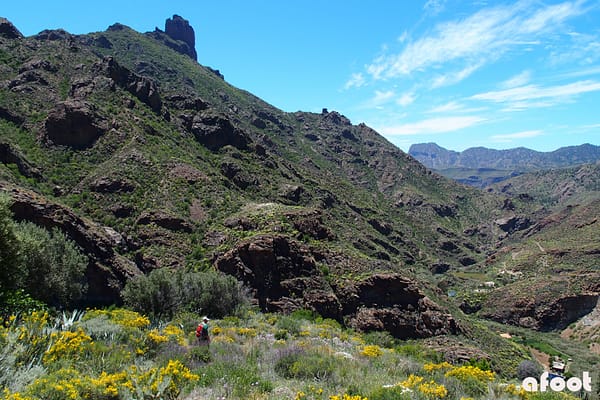 Gran Canaria