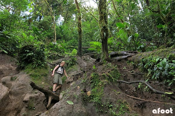 Cerro Chato