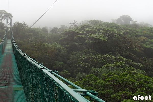 Monteverde