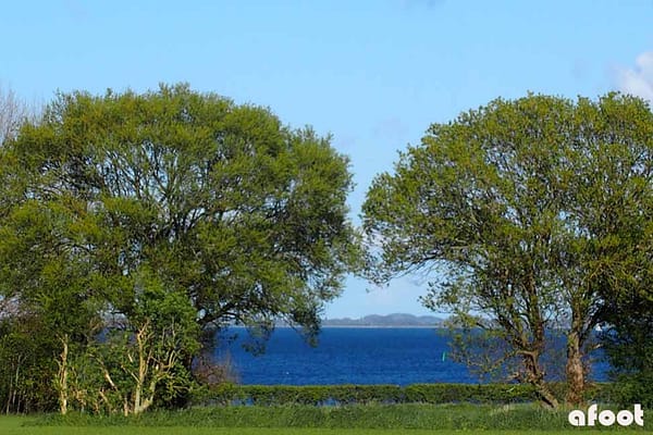 Ærø