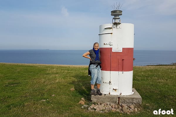 Nekselø