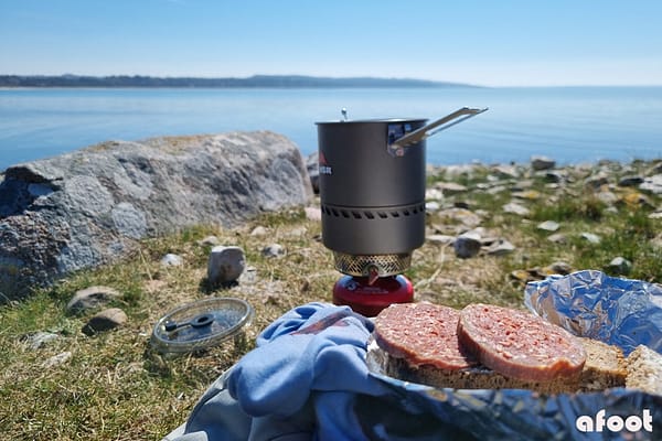 Ordrup Næs
