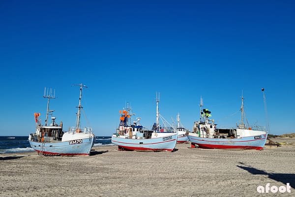 Jylland Thorupstrand