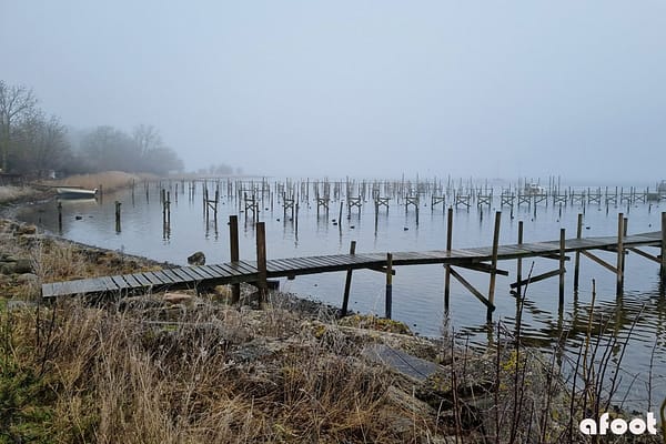 Roskilde