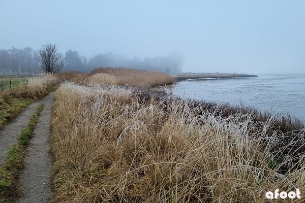 Roskilde Fjordstien