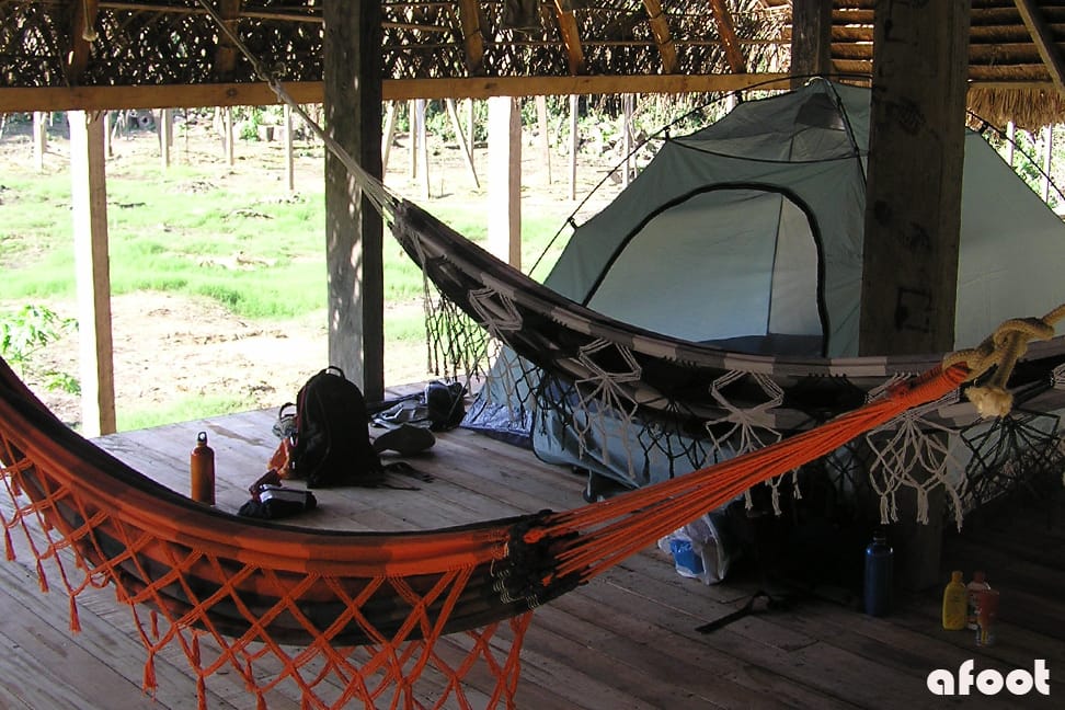 amazonas