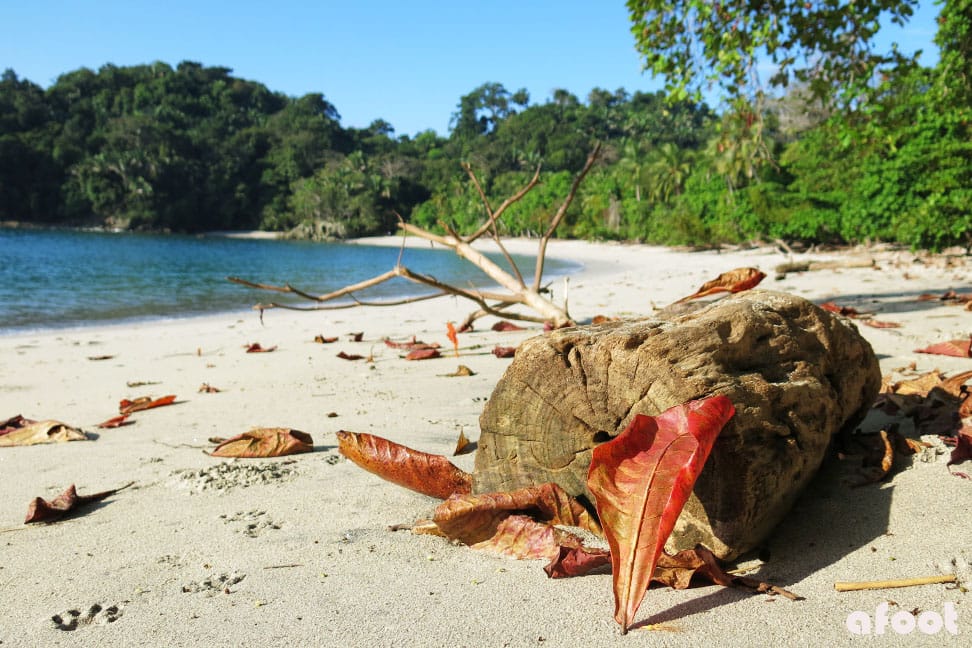 Manuel Antonio Nationalpark