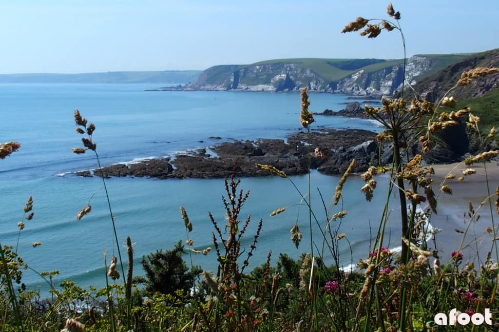 Devon riviera