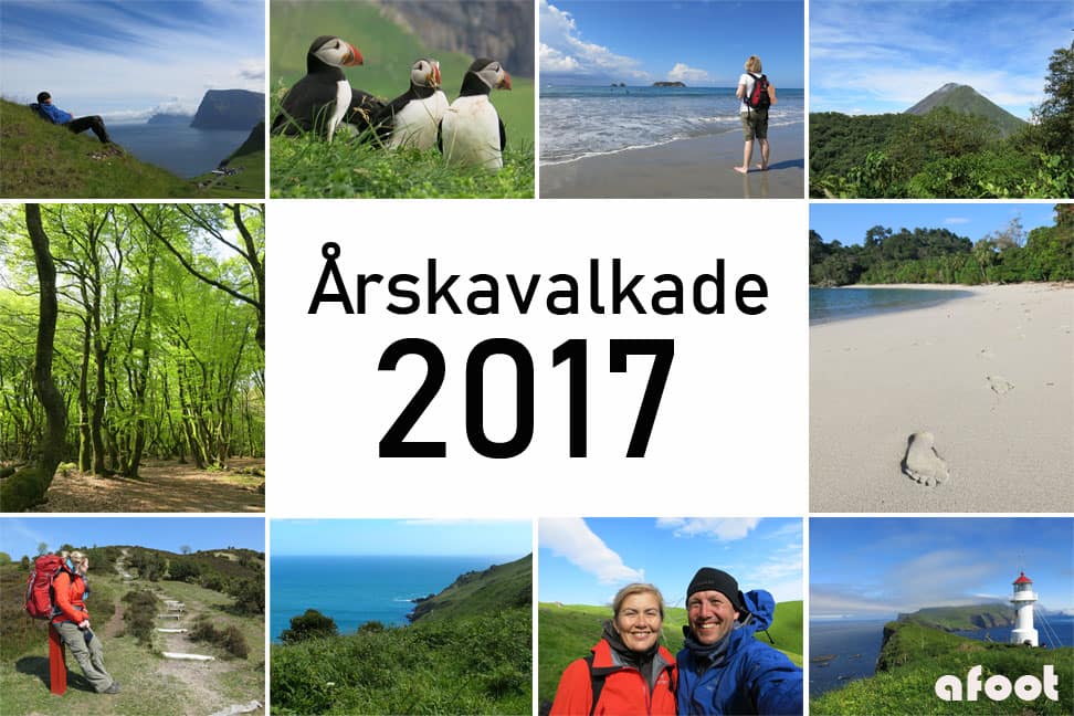Året 2017