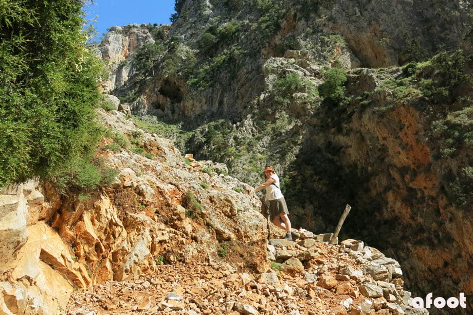 Aradena