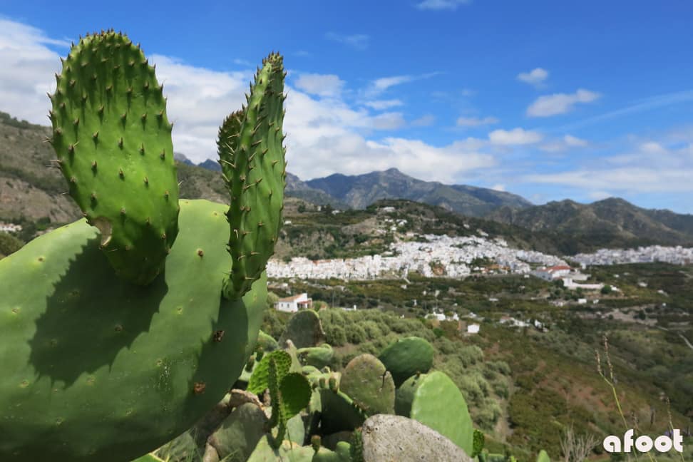 Frigiliana