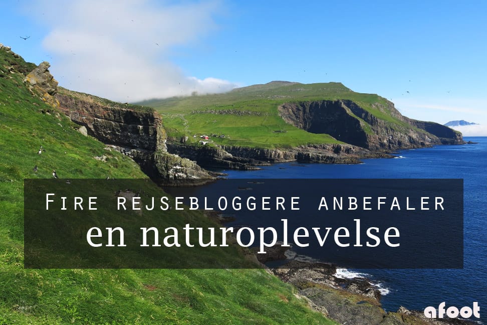 naturoplevelse