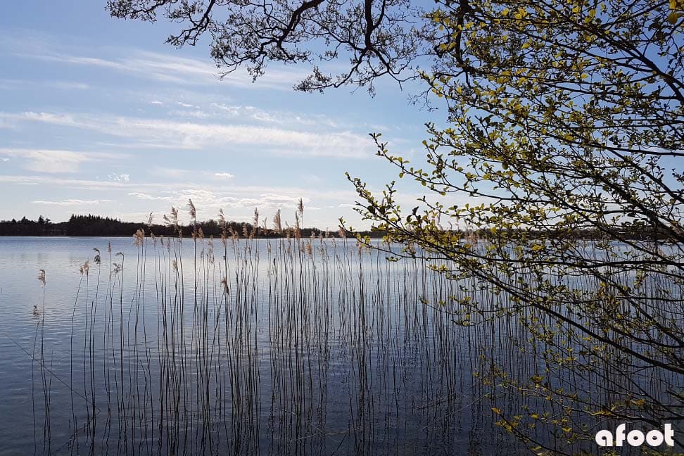 Søndersø