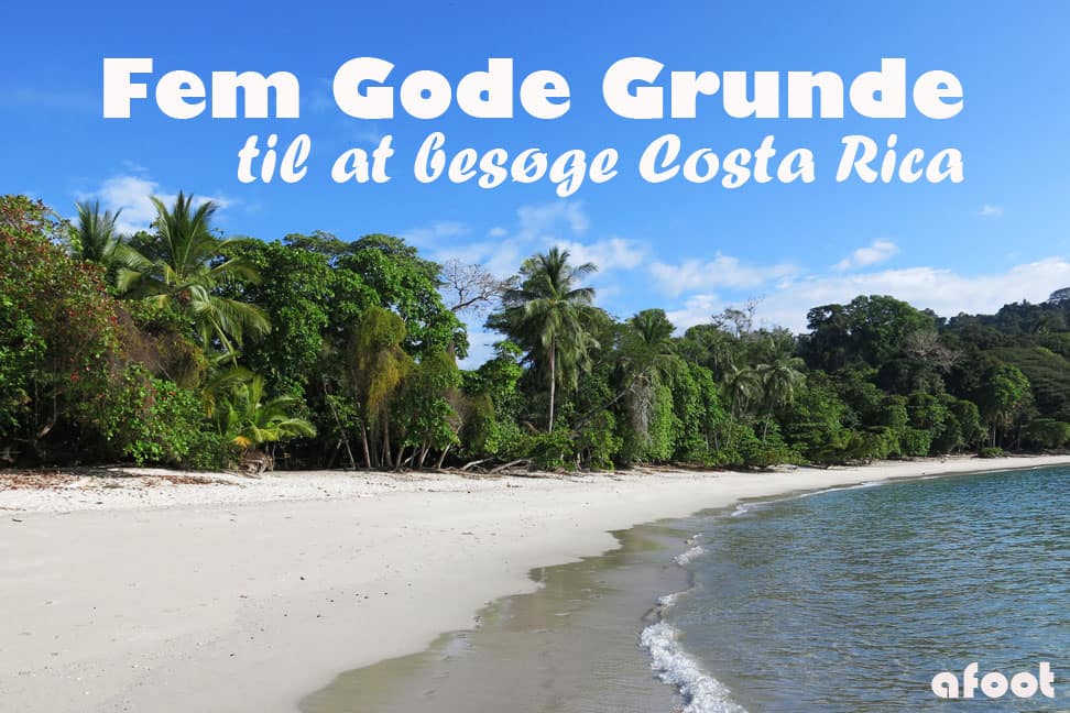 Fem Gode Grunde: Costa Rica