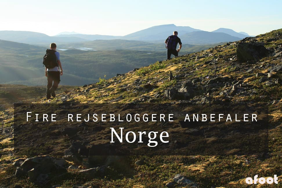 Fire rejsebloggere anbefaler Norge