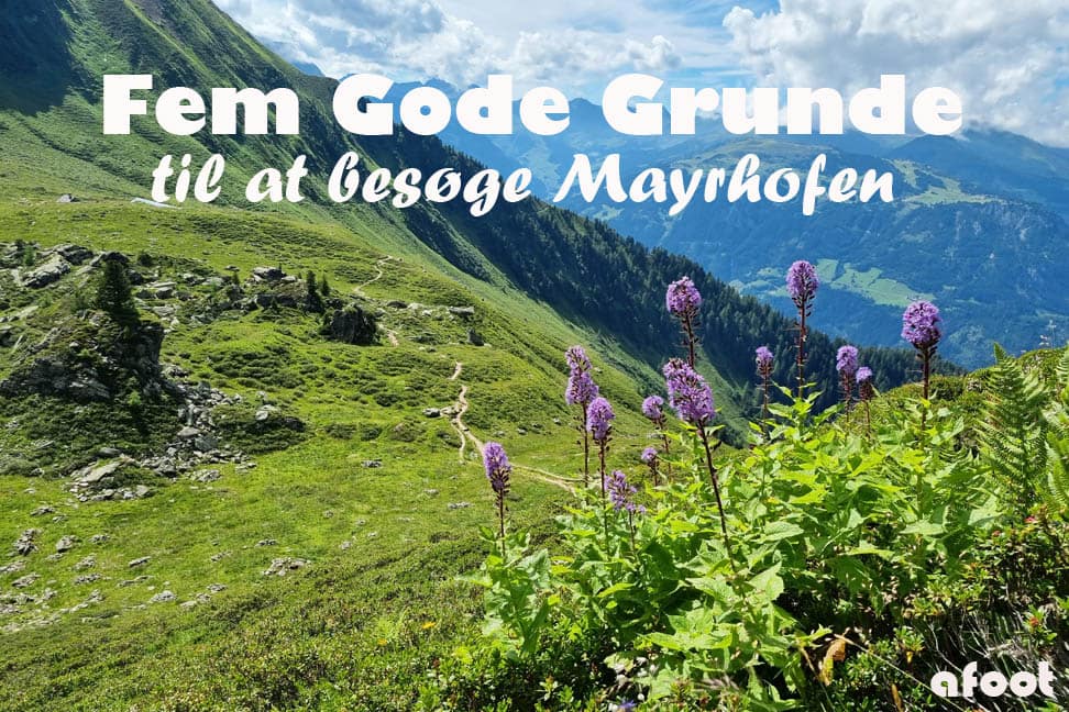 Fem gode grunde: Mayrhofen, Østrig
