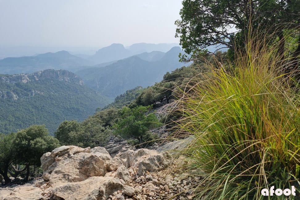 Hvad ka’? Mallorca